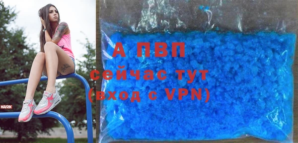 марки lsd Новозыбков