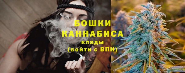 марки lsd Новозыбков