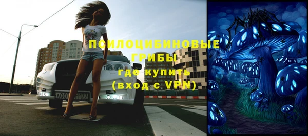 марки lsd Новозыбков