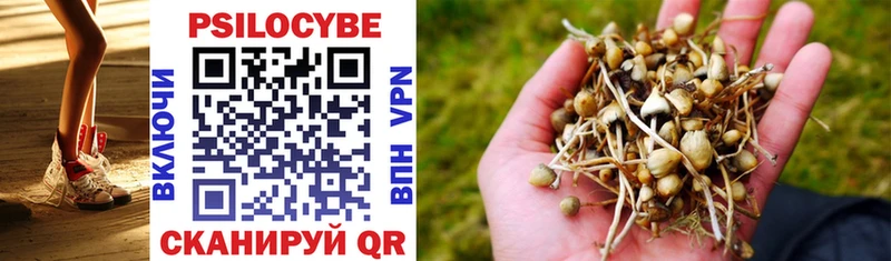Галлюциногенные грибы Psilocybine cubensis  цена наркотик  Липки 